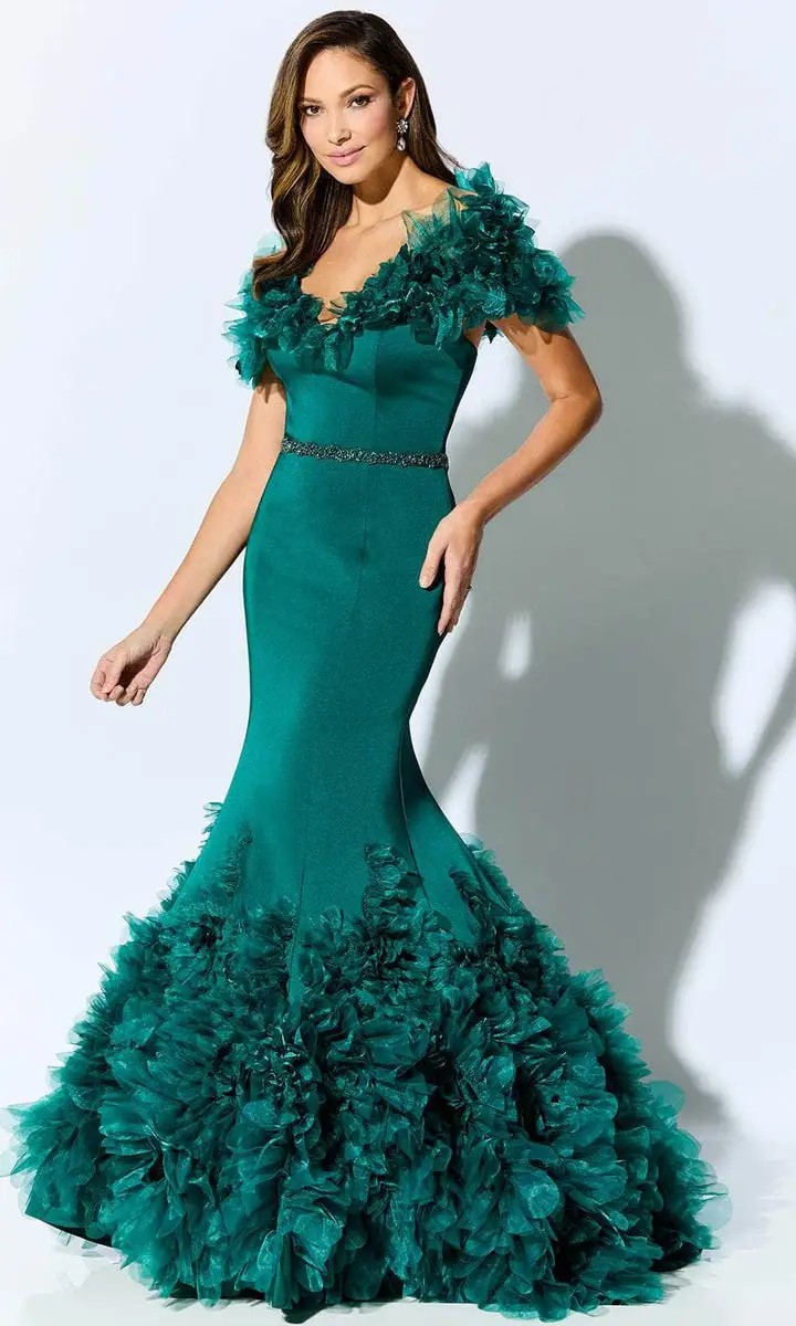 Mother of the wedding gown