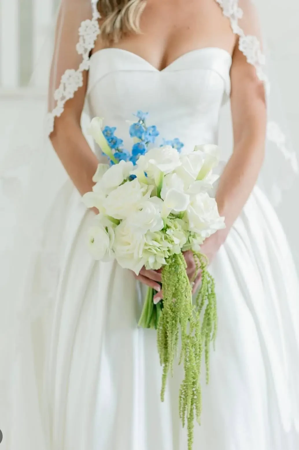 Wedding Dress from Volle's Bridal